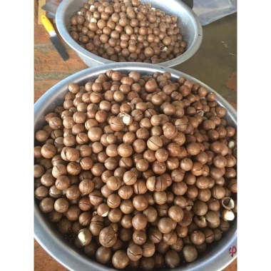 Hạt Maca Nông Sản Sạch Di Linh Lâm Đồng 1KG VIP - Giá chỉ 369.000đ, giảm từ 450.180đ