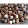 Hạt Macadamia Đắk Lắk 1kg Sấy Nứt Vỏ Size Trung - Giá Sỉ 120k, Siêu Giảm Giá 2
