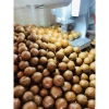 Hạt Macadamia Đắk Lắk 1kg Sấy Nứt Vỏ Size Trung - Giá Sỉ 120k, Siêu Giảm Giá 3