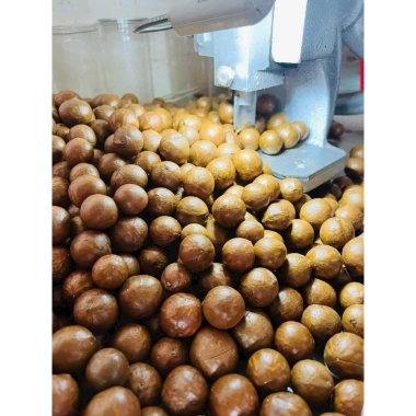 Hạt Macadamia Đắk Lắk 1kg Sấy Nứt Vỏ Size Trung - Giá Sỉ 120k, Siêu Giảm Giá