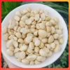 Hạt macadamia Đak Lak tách vỏ size trung 100g SP01 - sữa hạt, ngũ cốc, giảm giá 61.000đ