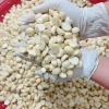 Hạt macadamia Đak Lak tách vỏ size trung 100g SP01 - sữa hạt, ngũ cốc, giảm giá 61.000đ 2