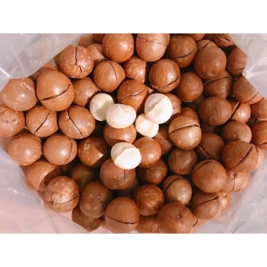 Hạt macca đắc lắc nứt vỏ size đại loại 1 500g - Giá ưu đãi 165.750 VND 8 Hạt macca đắc lắc nứt vỏ size đại loại 1 500g - Giá ưu đãi 165.750 VND 8