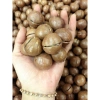Hạt Macca Đăk Lăk 500gr Loại A Sấy Chín Ăn Liền - Dinh Dưỡng Đầy Đủ, Giá 139k 4