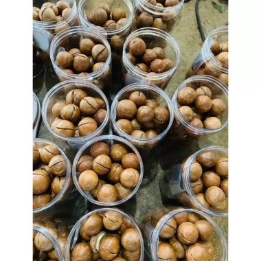 Hạt Macca DakLak 450gr nứt vỏ sạch, rang sấy cao cấp - Giá chỉ 83.300 VND 4 Hạt Macca DakLak 450gr nứt vỏ sạch, rang sấy cao cấp - Giá chỉ 83.300 VND 4