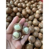Hạt Macca DakLak 450gr nứt vỏ sạch, rang sấy cao cấp - Giá chỉ 83.300 VND 6