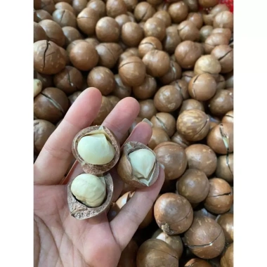 Hạt Macca DakLak 450gr nứt vỏ sạch, rang sấy cao cấp - Giá chỉ 83.300 VND 6 Hạt Macca DakLak 450gr nứt vỏ sạch, rang sấy cao cấp - Giá chỉ 83.300 VND 6