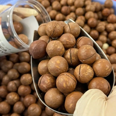 Hạt Macca Daklak 500g - Dinh Dưỡng Xuất Khẩu, Rang Thơm Béo Tự Nhiên, Quà Biếu Cao Cấp 175k