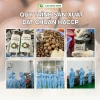 Hạt Macca Daklak 500g - Dinh Dưỡng Xuất Khẩu, Rang Thơm Béo Tự Nhiên, Quà Biếu Cao Cấp 175k 8