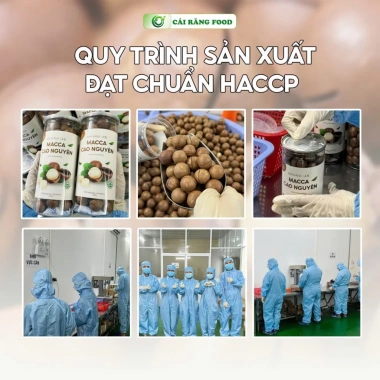 Hạt Macca Daklak 500g - Dinh Dưỡng Xuất Khẩu, Rang Thơm Béo Tự Nhiên, Quà Biếu Cao Cấp 175k