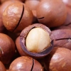 Hạt Macca Daklak 500g - Dinh Dưỡng Xuất Khẩu, Rang Thơm Béo Tự Nhiên, Quà Biếu Cao Cấp 175k 9