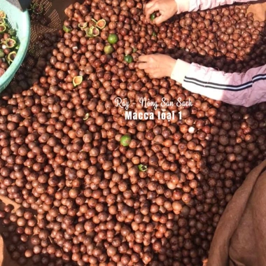 Hạt Macca Đaklak 500g Loại 1 Béo Ngậy, Tuyển Chọn 100% – Giá ưu đãi 599.000₫ 4