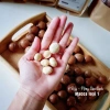 Hạt Macca Đaklak 500g Loại 1 Béo Ngậy, Tuyển Chọn 100% – Giá ưu đãi 599.000₫ 7