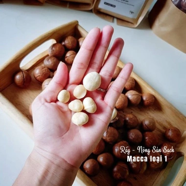 Hạt Macca Đaklak 500g Loại 1 Béo Ngậy, Tuyển Chọn 100% – Giá ưu đãi 599.000₫ 7