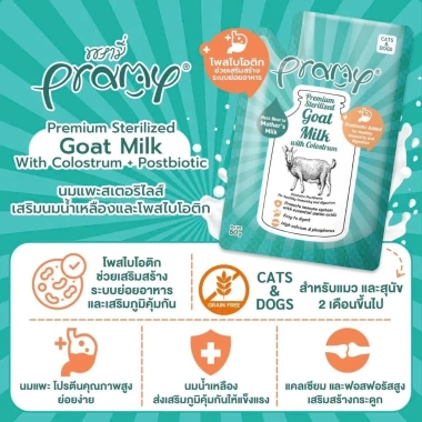 Hạt Macca Daklak nứt vỏ size trung 500gr - Túi zip tiện lợi + cây tách vỏ tặng, giảm còn 142.000 VND 2