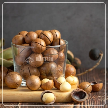 Hạt Macca DalatFarm 200g - Giảm giá sốc 150.000đ, dinh dưỡng, hương vị thơm ngon