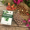 Hạt Macca DiLin Lâm Đồng 500g Sấy Lạnh Ăn Liền Size Trung - Giá chỉ 115.000 VNĐ 4