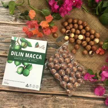 Hạt Macca DiLin Lâm Đồng 500g Sấy Lạnh Ăn Liền Size Trung - Giá chỉ 115.000 VNĐ 4