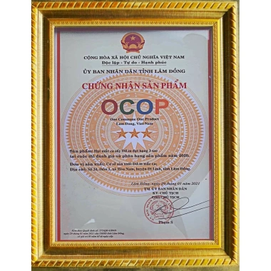 Hạt Macca DiLin Lâm Đồng 500g Sấy Lạnh Ăn Liền Size Trung - Giá chỉ 115.000 VNĐ 7