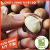Hạt Macca Gia Lai 140k - Giảm giá, thơm ngon, giàu dinh dưỡng, tốt sức khỏe