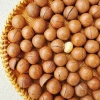 Hạt Macca Lâm Đồng 300-500g Đặc Sản Đà Lạt - Giá ưu đãi 95.000₫, tươi ngon 6