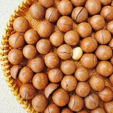 Hạt Macca Lâm Đồng 300-500g Đặc Sản Đà Lạt - Giá ưu đãi 95.000₫, tươi ngon