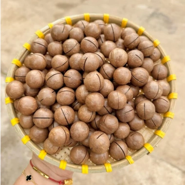Hạt Macca Lâm Đồng 300-500g Đặc Sản Đà Lạt - Giá ưu đãi 95.000₫, tươi ngon