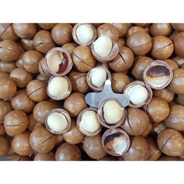 Hạt Macça Loại 1 Thơm Ngon - Giảm Giá 99.000₫ (Giá Gốc 120.780₫), Đậm Đà Hương Vị