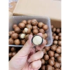 Hạt Macça Loại 1 Thơm Ngon - Giảm Giá 99.000₫ (Giá Gốc 120.780₫), Đậm Đà Hương Vị 5