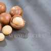 Hạt Macca Nhân Không Vỏ 500g Daklak Cao Cấp - Giòn Thơm Tự Nhiên, Giá Xưởng 169k-130k 5