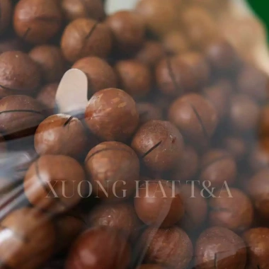 Hạt Macca Nhân Không Vỏ 500g Daklak Cao Cấp - Giòn Thơm Tự Nhiên, Giá Xưởng 169k-130k 6