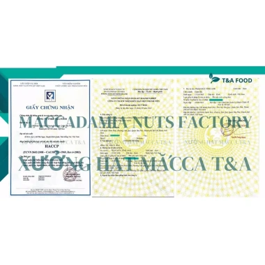 Hạt Macca Nhân Không Vỏ 500g Daklak Cao Cấp - Giòn Thơm Tự Nhiên, Giá Xưởng 169k-130k 8
