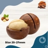 Hạt Macca Nứt Vỏ Dak Lak 500g - Dinh Dưỡng Cao, Giá Ưu Đãi 125k, Giá Gốc 156k 2