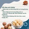 Hạt Macca Nứt Vỏ Dak Lak 500g - Dinh Dưỡng Cao, Giá Ưu Đãi 125k, Giá Gốc 156k 3
