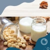 Hạt Macca Nứt Vỏ Dak Lak 500g - Dinh Dưỡng Cao, Giá Ưu Đãi 125k, Giá Gốc 156k 4