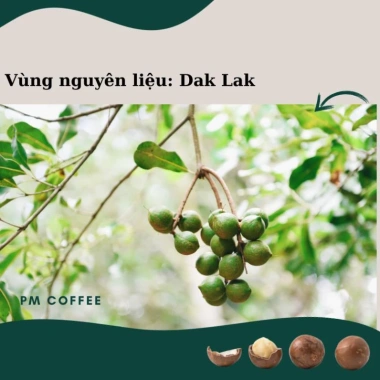 Hạt Macca Nứt Vỏ Dak Lak 500g - Dinh Dưỡng Cao, Giá Ưu Đãi 125k, Giá Gốc 156k 5