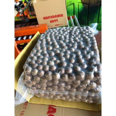 Hạt Macca Nứt Vỏ Khui Vỏ 500g-1kg - Giao Ngay, Giá 99.000, Đảm Bảo Chất Lượng