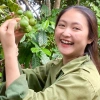 Hạt Macca Organic Daklak nứt vỏ giòn tan, không hôi dầu, giá ưu đãi 149k 2