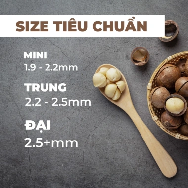 Hạt Macca Organic Lâm Đồng Loại 1 Nứt Vỏ Sấy Rang 500g Ăn Liền và Quà Tặng 5