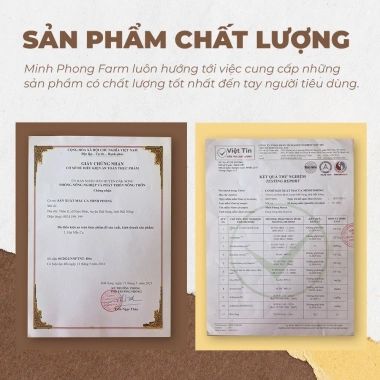 Hạt Macca Organic Lâm Đồng Loại 1 Nứt Vỏ Sấy Rang 500g Ăn Liền và Quà Tặng 7