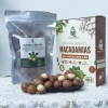 Hạt macca sạch Đak Lak sấy nứt vỏ - Giá chỉ 40.000đ, tặng đồ khui hạt, giảm 12.000đ