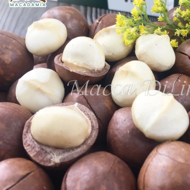 Hạt Macca Sạch Lâm Đồng DiLin 500g Sấy Nứt Vỏ Giòn Béo, Tự Nhiên 100%, Giá 119k Hạt Macca Sạch Lâm Đồng DiLin 500g Sấy Nứt Vỏ Giòn Béo, Tự Nhiên 100%, Giá 119k