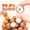 Hạt Macca sấy nguyên vị - siêu thực phẩm bổ dưỡng, chỉ 200.000 VND, giảm mạnh 2