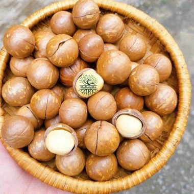 Hạt Macca sấy nguyên vị - siêu thực phẩm bổ dưỡng, chỉ 200.000 VND, giảm mạnh 5 Hạt Macca sấy nguyên vị - siêu thực phẩm bổ dưỡng, chỉ 200.000 VND, giảm mạnh 5