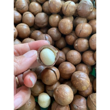 Hạt macca sấy nứt vỏ Đắk Lắk 500g – Dinh dưỡng cho bà bầu, ăn kiêng, giảm cân, giá chỉ 82.000₫ 4