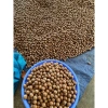 Hạt macca sấy nứt vỏ Đắk Lắk 500g – Dinh dưỡng cho bà bầu, ăn kiêng, giảm cân, giá chỉ 82.000₫ 5