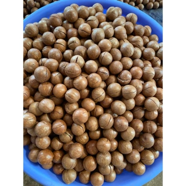 Hạt macca sấy nứt vỏ Đắk Lắk 500g – Dinh dưỡng cho bà bầu, ăn kiêng, giảm cân, giá chỉ 82.000₫ 6