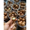 Hạt macca sấy nứt vỏ Đắk Lắk 500g – Dinh dưỡng cho bà bầu, ăn kiêng, giảm cân, giá chỉ 82.000₫ 8