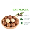 Hạt Macca Size Đắk Lắk 500g Thơm Nhân Trắng Cam - Đồ Ăn Vặt Hà Nội Giá 125k 3