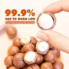 Hạt Macca Size Đắk Lắk 500g Thơm Nhân Trắng Cam - Đồ Ăn Vặt Hà Nội Giá 125k 6